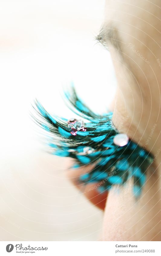 Jewels feminin Auge glänzend liegen tragen dünn eckig elegant fest einzigartig Kitsch klein nah viele blau Wimpern falsch Edelstein Augenbraue Kostbarkeit