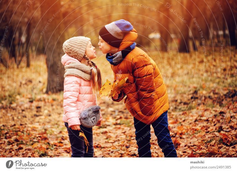 Herbstporträt von glücklichen Kindern, die im Freien im Park spielen. Freude Freizeit & Hobby Spielen Ferien & Urlaub & Reisen Schwester