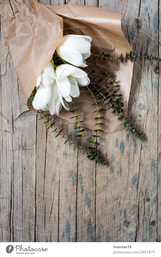 Floraler Hintergrund Valentinstag Kunst Natur Pflanze Blume Tulpe Blatt Blumenstrauß natürlich grün Liebe Farbe Ranunculus Dekor hübsch Postkarte Rahmen