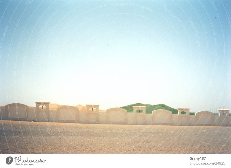 Wüstenbegrünung Gras Scheich heiß Physik Stranddüne Sand Sonne Wärme