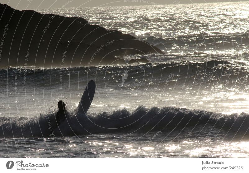 aufgetaucht Surfbrett Surfer maskulin Mann Erwachsene 1 Mensch Wasser Sonnenlicht Sommer Schönes Wetter Felsen Meer Atlantik schwarz silber Leben Einsamkeit