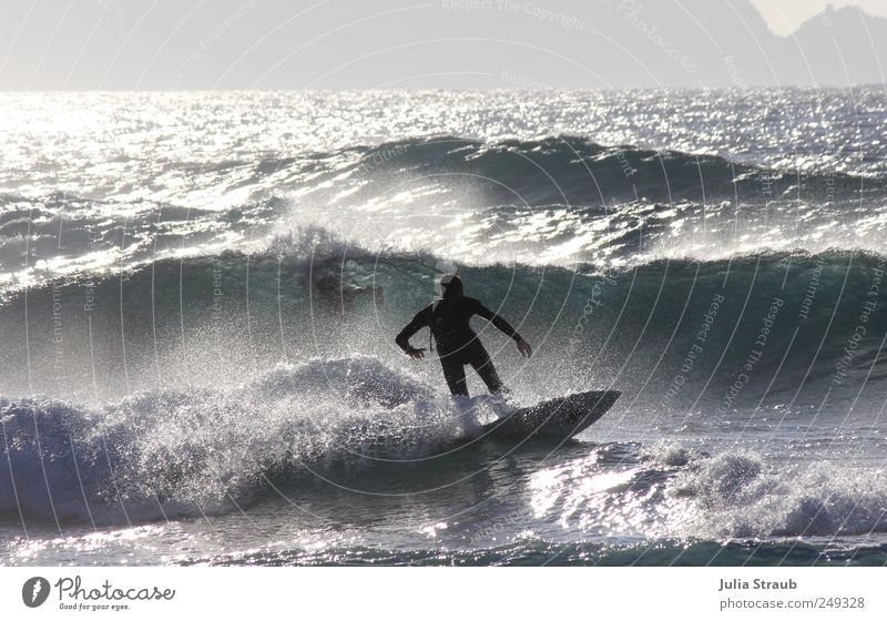 zurück Surfbrett Surfen Wellen Mensch Mann Erwachsene 1 18-30 Jahre Jugendliche Wasser Schönes Wetter Meer Atlantik sportlich blau grün schwarz silber weiß