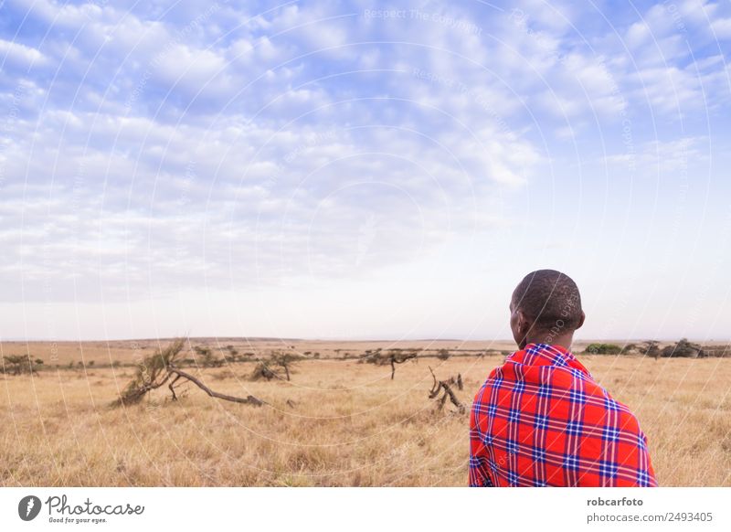 Maasai wandern in der Savanne bei Sonnenuntergang Lifestyle schön Ferien & Urlaub & Reisen Sommer Mensch Frau Erwachsene Mann Natur Landschaft Baum Gras Dorf
