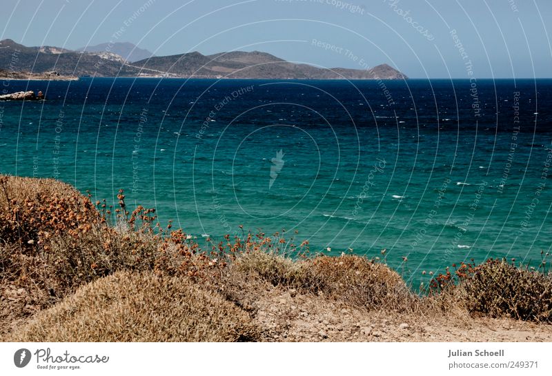 Meer ist mehr Landschaft Pflanze Erde Sand Wasser Himmel Sommer Schönes Wetter Wind Gras Sträucher Wildpflanze Wellen Küste Insel Milos Griechenland
