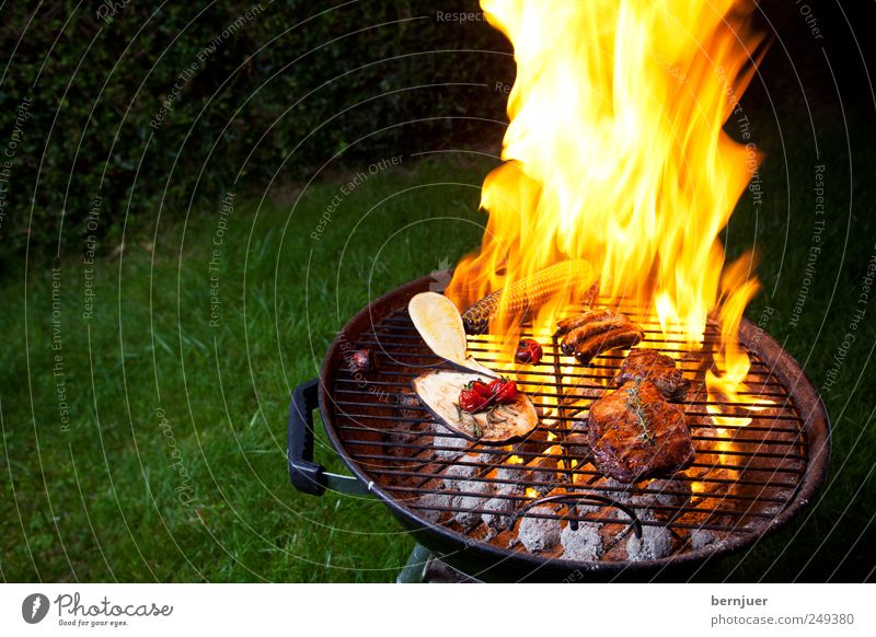 feuer&flamme Lebensmittel Fleisch Gemüse genießen heiß hell gelb Grill Flamme Feuer Grillrost Steak Wurstwaren Kohle Tomate Zucchini Aubergine Rosmarin Grillen