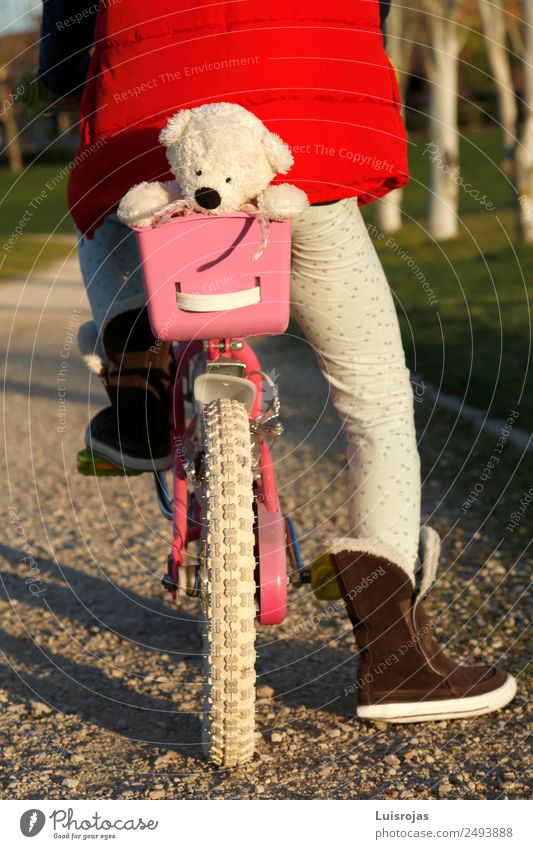 Mädchen auf dem Fahrrad mit Teddybär im Korb Freude Leben Fahrradfahren 3-8 Jahre Kind Kindheit Frühling Herbst Winter Park Spielzeug Puppe genießen Bicicicleta