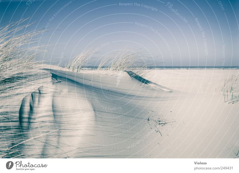 Spiekeroog | ....Soft Landschaft Sand Himmel Küste Strand Insel entdecken Erholung Nordseeinsel Düne Dünengras Farbfoto Außenaufnahme Textfreiraum rechts Licht