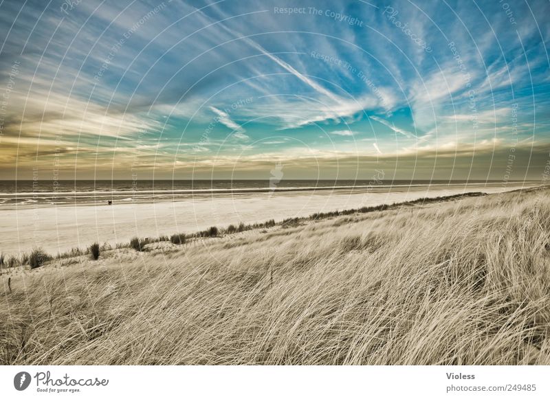 Spiekeroog | ...paradise Natur Landschaft Sand Himmel Strand Nordsee Meer entdecken Erholung Insel Düne Dünengras Wolkenfetzen Farbfoto Außenaufnahme Tag