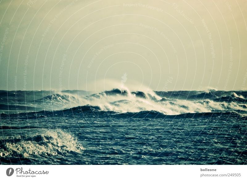 Die Welle Umwelt Natur Urelemente Wasser Himmel Wetter Sturm Wellen Küste Nordsee Meer dunkel blau Bewegung bedrohlich Horizont Klima Kraft Ferne Brandung