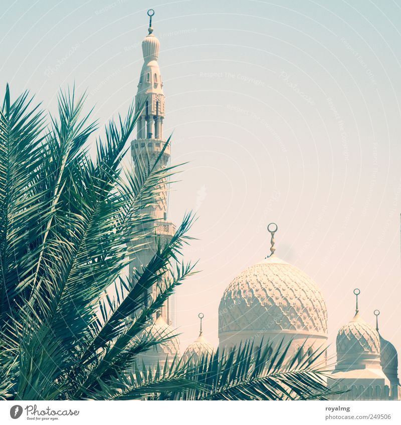Im Verborgenen Tourismus Ausflug Ferne Städtereise Sommer Sommerurlaub Wolkenloser Himmel Dubai Vereinigte Arabische Emirate Moschee Sehenswürdigkeit