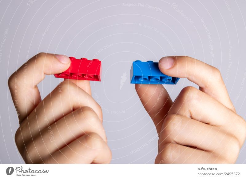 Bausteine rot und blau Kind Hand Finger 8-13 Jahre Kindheit Spielzeug bauen festhalten Spielen Partnerschaft gleich Inspiration Kommunizieren Freude