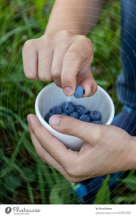 Kind zeigt Heidelbeere Lebensmittel Frucht Bioprodukte Schalen & Schüsseln Hand 8-13 Jahre Kindheit Sommer Garten Wiese wählen Essen festhalten genießen stehen