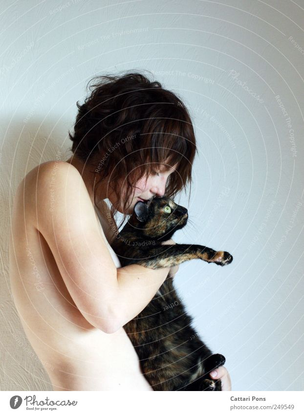 richtiger Umgang mit Pelz: feminin Junge Frau Jugendliche Erwachsene Körper 1 Mensch brünett kurzhaarig Tier Haustier Katze berühren festhalten genießen Liebe