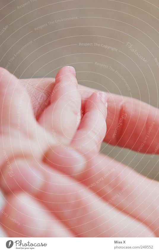 Händchen Mensch Baby Familie & Verwandtschaft Hand Finger 2 0-12 Monate Gefühle Vertrauen Sicherheit Schutz Geborgenheit Warmherzigkeit Zusammensein Liebe
