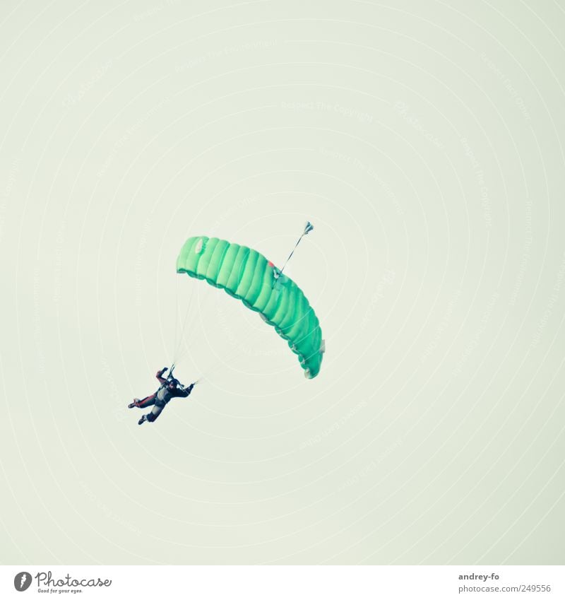Fallschirmspringer. 1 Mensch Wolkenloser Himmel Luftverkehr Flugplatz fliegen grün Tapferkeit Mut Sport Fallschirmspringen fallen leicht Schweben Sportler