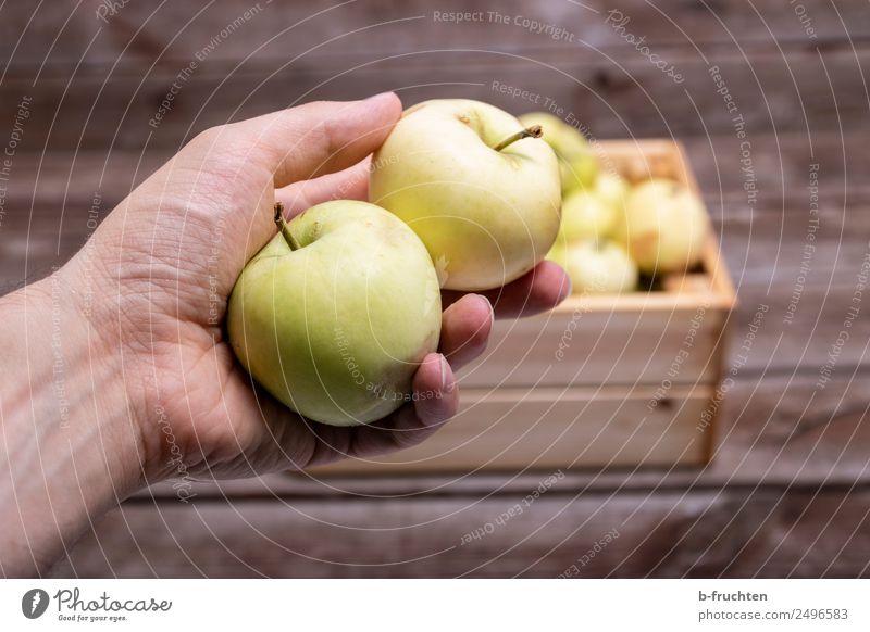 zwei Äpfel in der Hand Lebensmittel Frucht Bioprodukte Vegetarische Ernährung Tisch Mann Erwachsene Kasten Sammlung Holz festhalten frisch Gesundheit Apfel