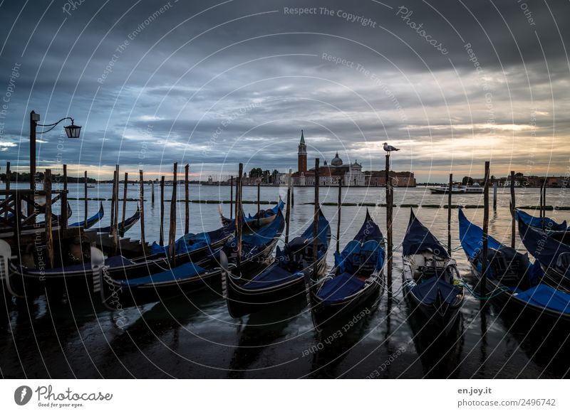 aufwachen Ferien & Urlaub & Reisen Sightseeing Städtereise Sommerurlaub Wolken Gewitterwolken Nachthimmel Meer Bucht Venedig Italien Europa Stadt Altstadt