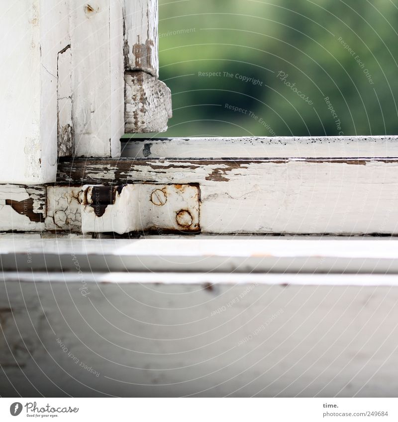 Die Axt im Haus erspart den Zimmermann Fenster Lack Holz alt grün weiß Fensterrahmen Fensterblick verbraucht Scharnier Schraube Blech Fensterbrett Rost