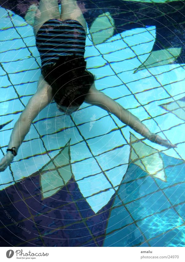 die schwimmerin Schwimmsportler Schwimmbad unten Mensch Wasser Schwimmen & Baden