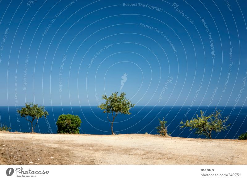 Fahrt ins Blaue Ferien & Urlaub & Reisen Natur Landschaft Erde Sand Wasser Himmel Baum Sträucher Küste Meer Klippe Sardinien Mittelmeer authentisch natürlich