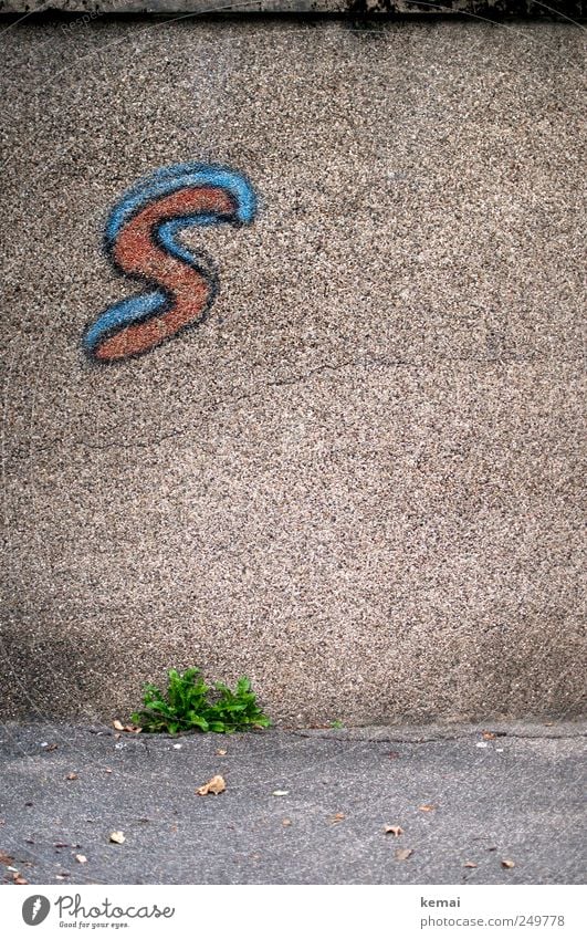 Superman war hier Natur Pflanze Blatt Grünpflanze Wildpflanze Löwenzahn Unkraut Menschenleer Mauer Wand Fassade Stein Zeichen Schriftzeichen Graffiti blau rot