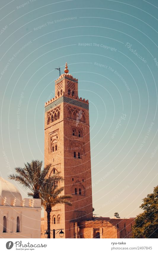 Koutoubia-Moschee II Marrakesch Marokko Altstadt Bauwerk Sehenswürdigkeit Wahrzeichen Denkmal ästhetisch gigantisch Palme Religion & Glaube Gebet Turm Farbfoto