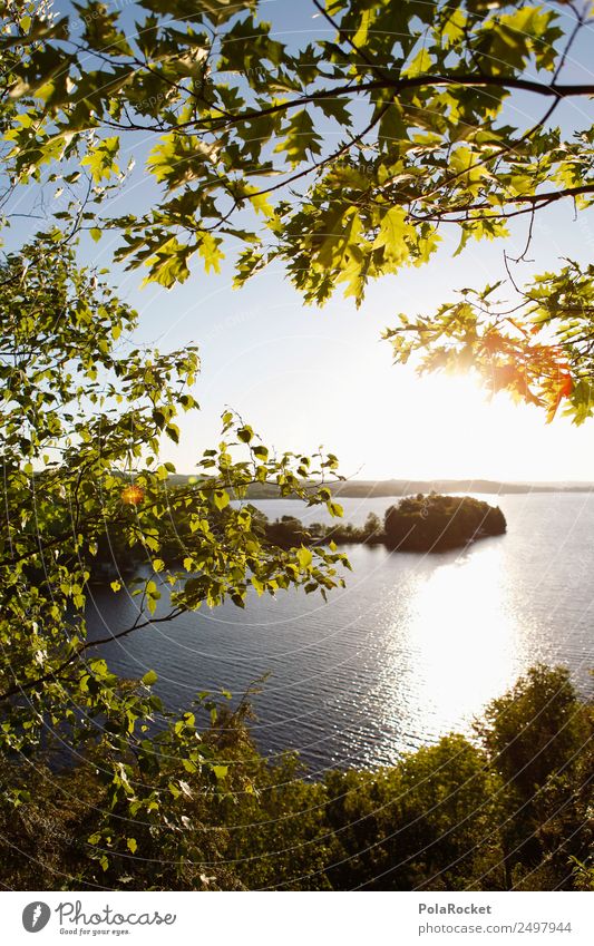 #A# Morgen in Kanada Umwelt Natur Landschaft Wasser Schönes Wetter ästhetisch grün Naturschutzgebiet Nationalpark See Außenaufnahme Sonnenaufgang Idylle