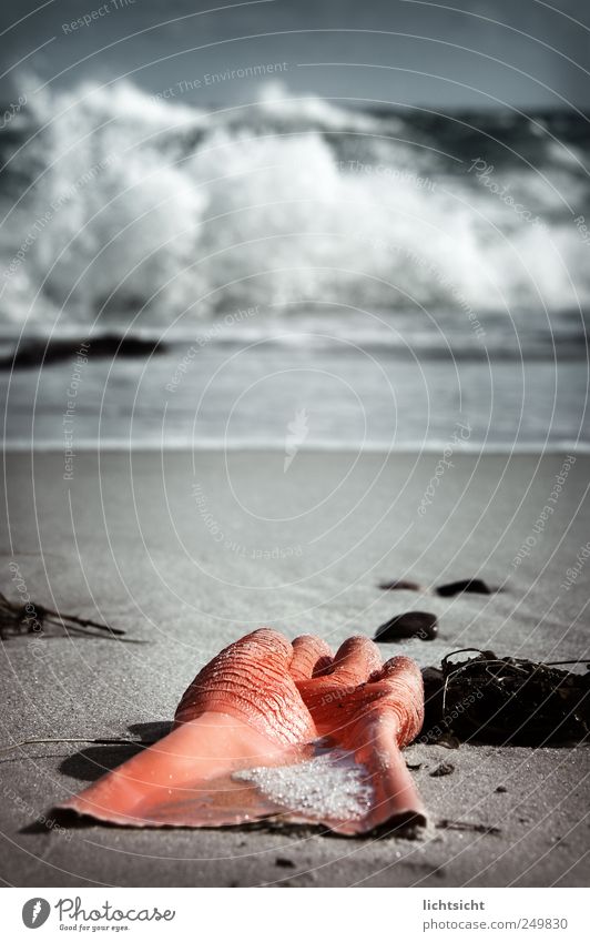 Die große Waschmaschine Meer Insel Wellen Umwelt Sand Wasser Klimawandel Wetter Sturm Küste Nordsee Ostsee Reinigen bizarr Umweltverschmutzung Handschuhe orange