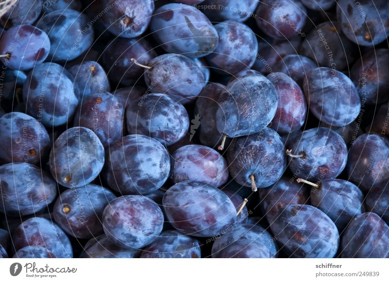 Brenngrundlage Frucht Marmelade sauer süß violett viele Steinfrüchte Pflaume Pflaumenbaum Stengel lecker Menschenleer