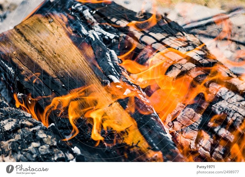 Brennendes Holz Feuerstelle Abenteuer Umwelt Natur Urelemente heiß bedrohlich Umweltverschmutzung Zerstörung brennen Farbfoto Außenaufnahme Nahaufnahme