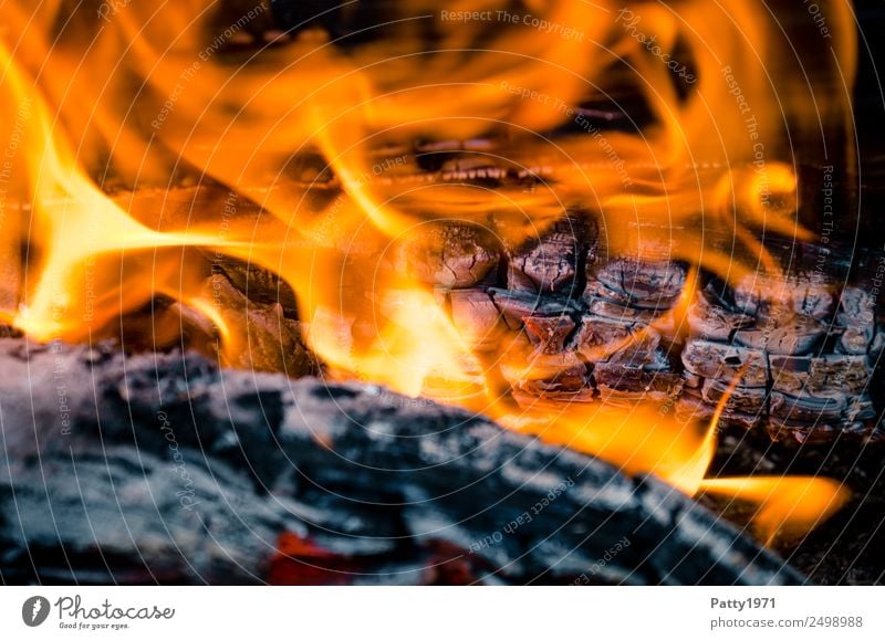 Brennendes Holz Abenteuer Feuerstelle Umwelt Natur Urelemente heiß gelb grau orange rot schwarz bedrohlich Umweltverschmutzung Zerstörung brennen Farbfoto