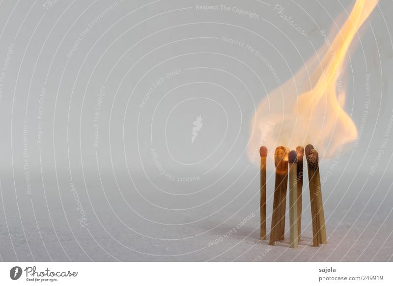flammenhut Feuer Holz heiß brennen Streichholz brennbar Flamme Farbfoto Menschenleer Textfreiraum links Textfreiraum oben Freisteller Hintergrund neutral