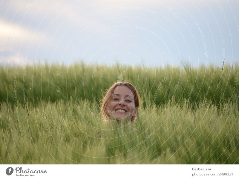 verlassen | aber glücklich feminin Frau Erwachsene Kopf 1 Mensch Natur Pflanze Himmel Klima Getreide Feld lachen Fröhlichkeit lustig grün Gefühle Stimmung