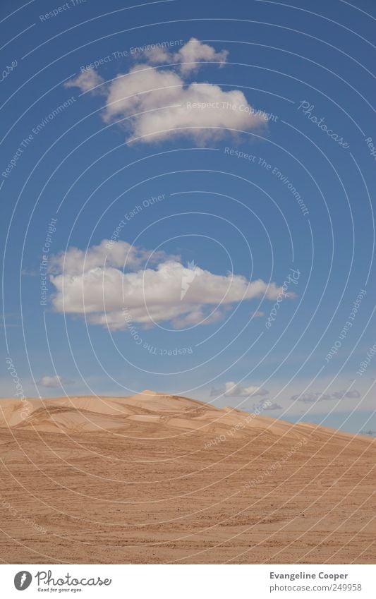 Sonora-Wüste I Ausflug Abenteuer Expedition Sand himmel Wolken Motorsport Landschaft Wärme Amerika Kalifornien Ferien & Urlaub & Reisen trocken blau gelb 2011