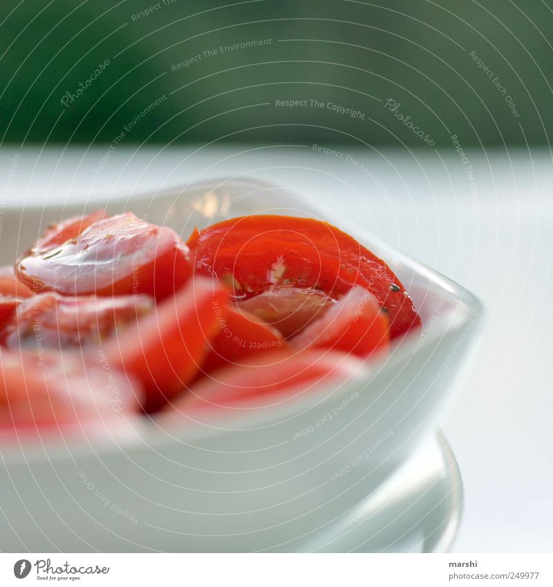 Beilage zum Grillfleisch Lebensmittel Gemüse Salat Salatbeilage Ernährung Picknick Vegetarische Ernährung grün rot Tomate Tomatensalat Teller Sommer saftig