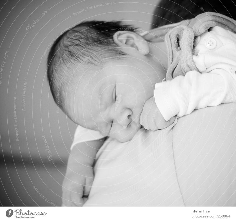 abgefüllt harmonisch Wohlgefühl Erholung ruhig Baby Eltern Erwachsene Gesicht 0-12 Monate brünett hängen liegen schlafen träumen niedlich Lebensfreude