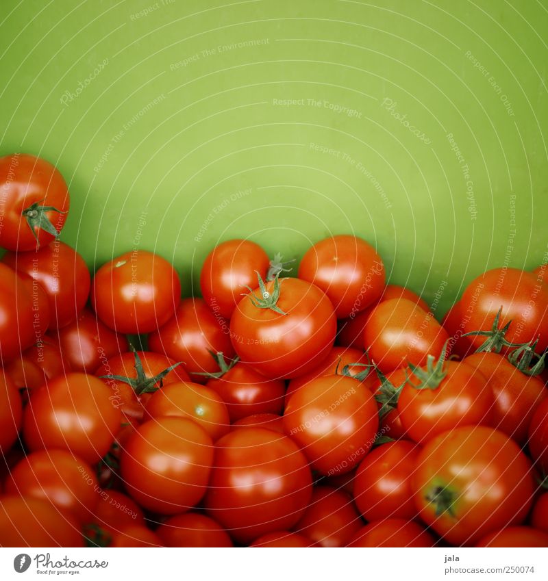 tomaten Lebensmittel Gemüse Tomate Ernährung Bioprodukte Vegetarische Ernährung Gesundheit lecker natürlich grün rot Farbfoto Außenaufnahme Menschenleer