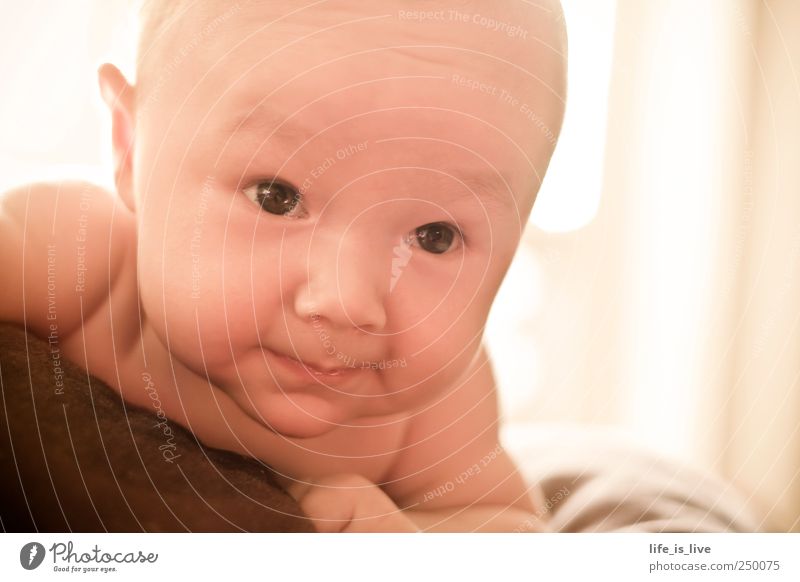 ein schöner "AUGEN"blick Kind Baby Kindheit Gesicht 1 Mensch 0-12 Monate Lächeln liegen Blick frech natürlich Neugier niedlich Warmherzigkeit Sympathie
