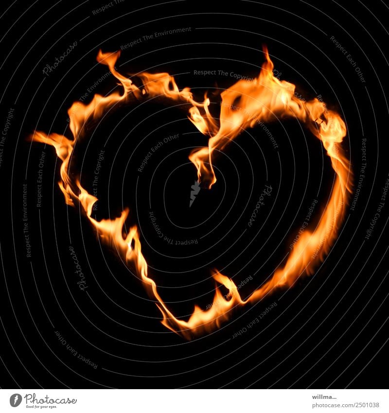 Herz statt Hetze brennen Valentinstag Muttertag Feuer Treue Liebe Menschlichkeit Parole Nacht Feuerherz herzlich Hintergrund neutral Symbol Gefühl Romantik
