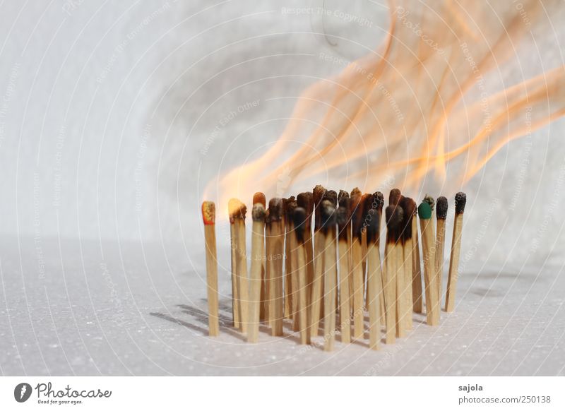 burn out Feuer Holz heiß Flamme Streichholz brennen entzünden Rauch Farbfoto Menschenleer Textfreiraum links Freisteller Hintergrund neutral