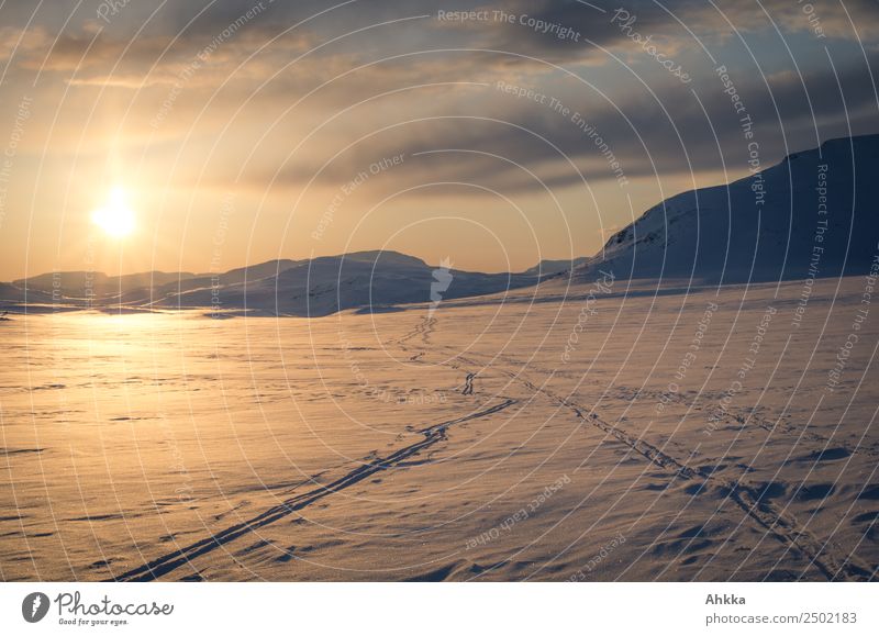 Sonnenuntergang im polaren Raum, einsame Skispuren ruhig Abenteuer Ferne Freiheit Expedition Winter Winterurlaub Wintersport Landschaft Urelemente Himmel Eis