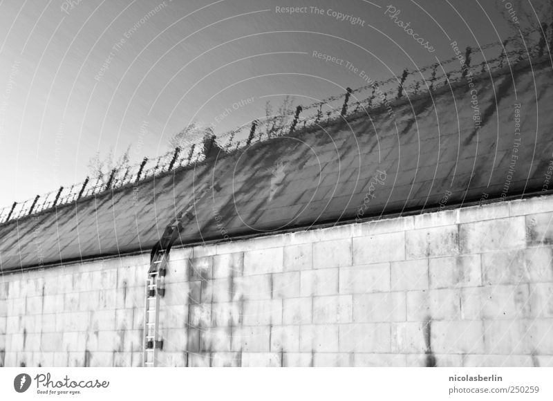 Die Mauer muss weg Angeln Sightseeing Schwimmen & Baden Umwelt Wasser Himmel Fluss Hafenstadt Menschenleer Brücke Wand Treppe Fassade außergewöhnlich