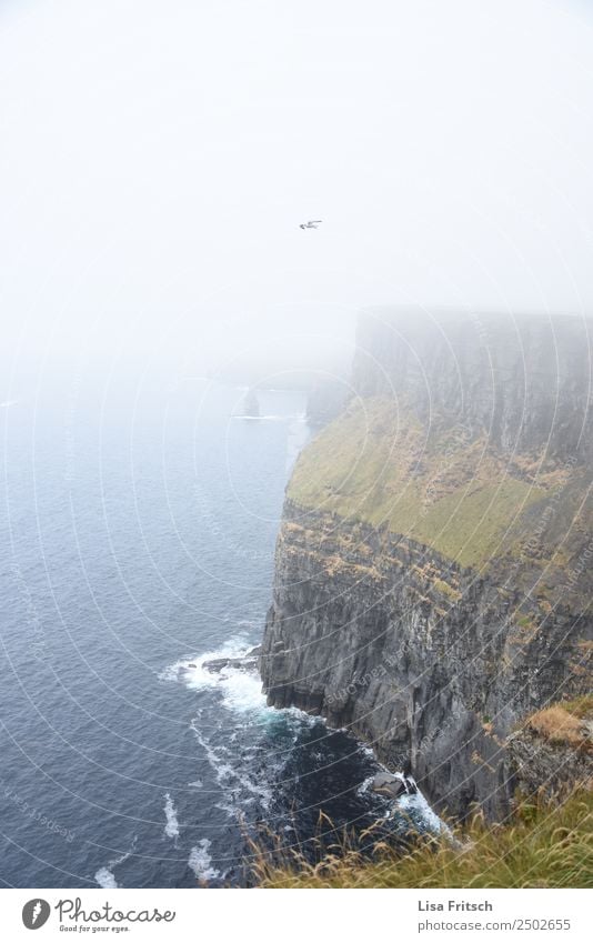 Cliffs of Moher, Irland Ferien & Urlaub & Reisen Tourismus Ausflug Sightseeing wandern Umwelt Natur Landschaft Wasser Nebel einzigartig Freizeit & Hobby