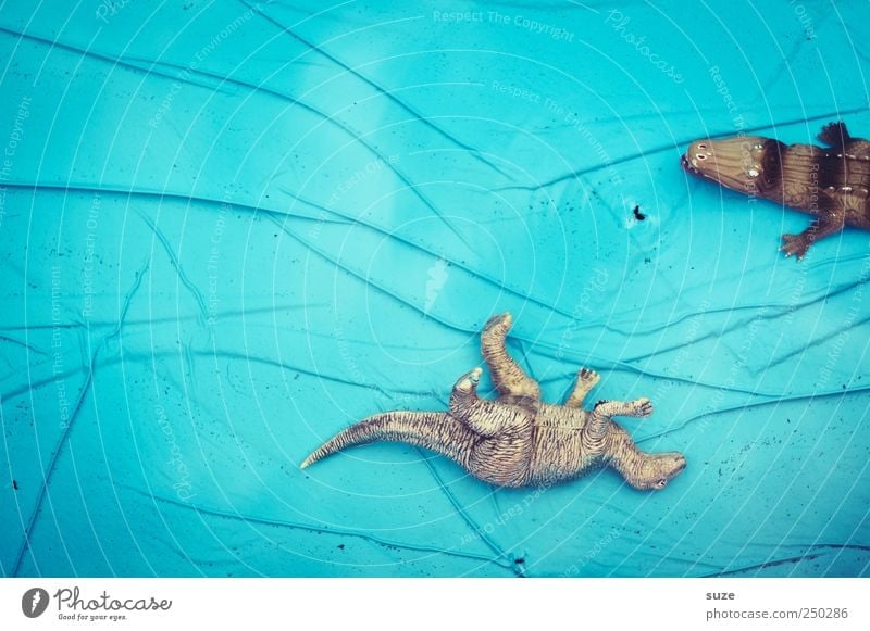 Poolbillard Freude Sommer Schwimmbad Tier Wasser Spielzeug Kunststoff Linie beobachten liegen warten lustig nass blau gefährlich Dinosaurier hell-blau Gummi