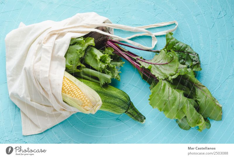 Ökologische Tasche mit Gemüse auf blauem Hintergrund Ernährung Vegetarische Ernährung Gesundheit Wellness Küche Blatt Nutzpflanze Diät füttern frisch modern