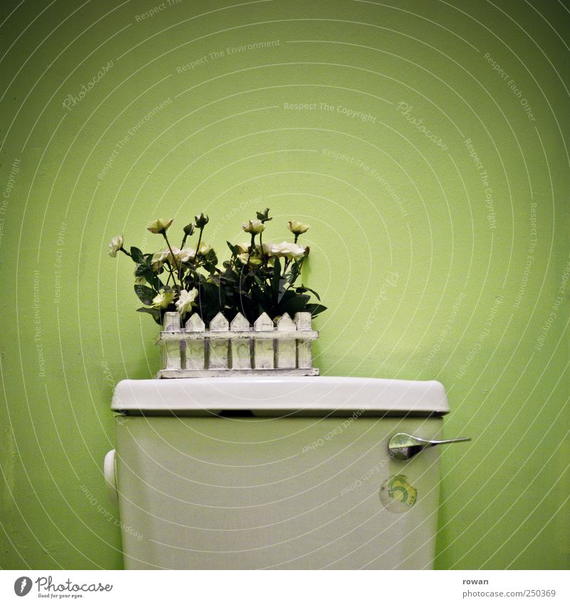 klodeko Lifestyle Stil Design Häusliches Leben Wohnung Dekoration & Verzierung Möbel Bad außergewöhnlich trendy Kitsch trashig grün einzigartig Toilette