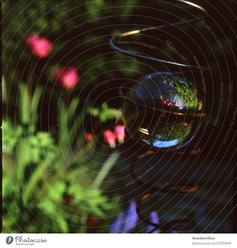 Dreh dich. Umwelt Natur Wetter Schönes Wetter Garten Mobile Spirale Glaskugel Rost gut hell Farbfoto Außenaufnahme Detailaufnahme Experiment Menschenleer Tag