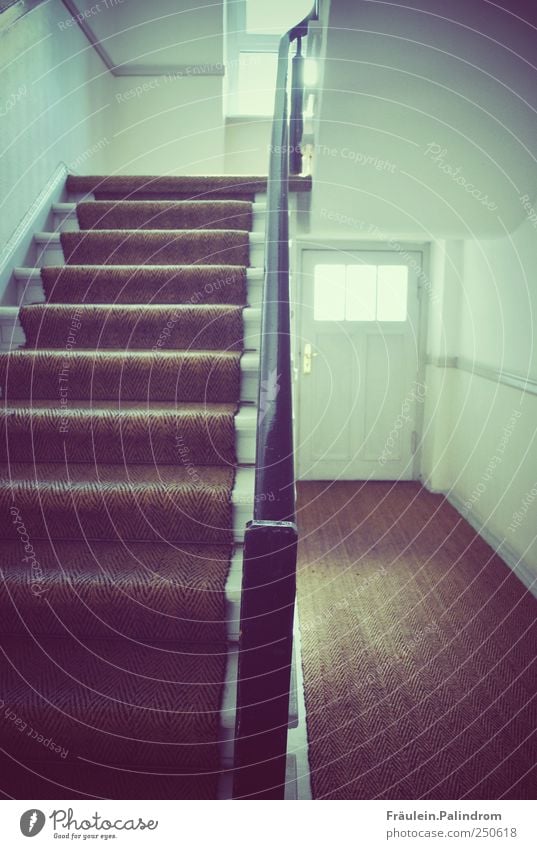Aufwärts. Haus Tor Treppe Fenster Tür Holz leuchten Flur Treppenhaus Gelände festhalten Wege & Pfade weiß Wand schwarz Fußmatte Strukturen & Formen gerade