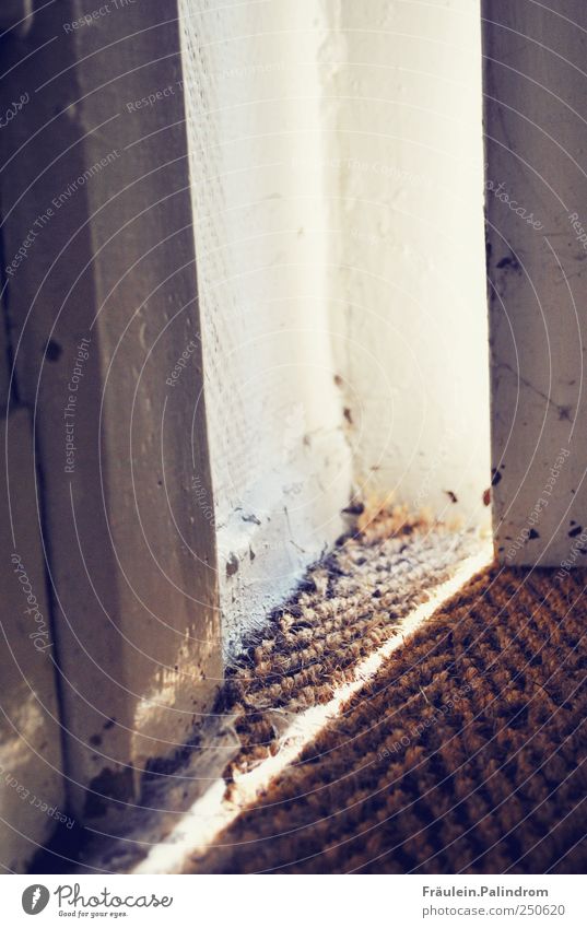 Lichtblick. Sonnenlicht Menschenleer Tür Fußmatte dreckig Lichtstrahl Spinnennetz Türspalt Türrahmen offen aufmachen geschlossen Ausgang Flur Neugier
