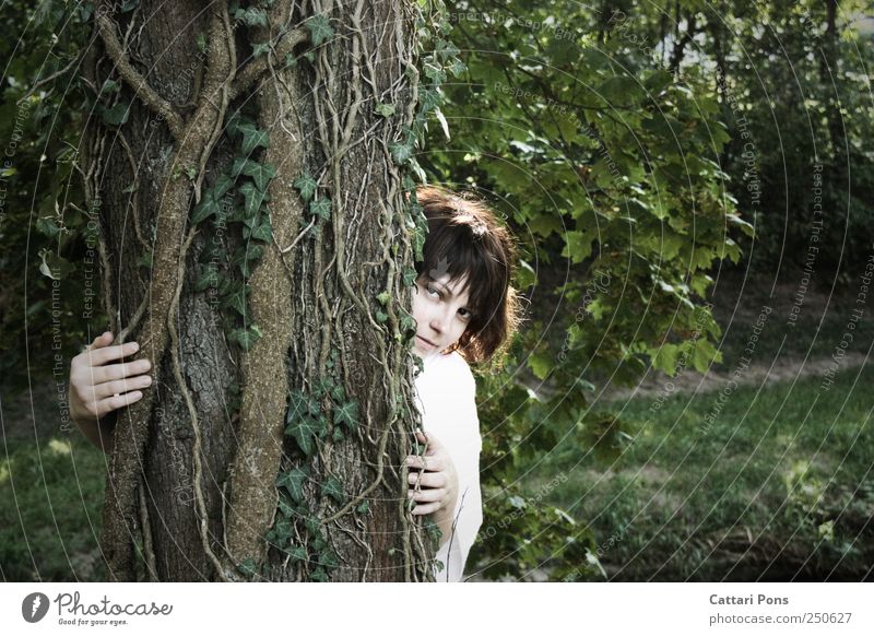 Waldgeist feminin Junge Frau Jugendliche Erwachsene Kopf 1 Mensch Natur Pflanze Baum Efeu Holz beobachten berühren festhalten Blick Umarmen warten dunkel